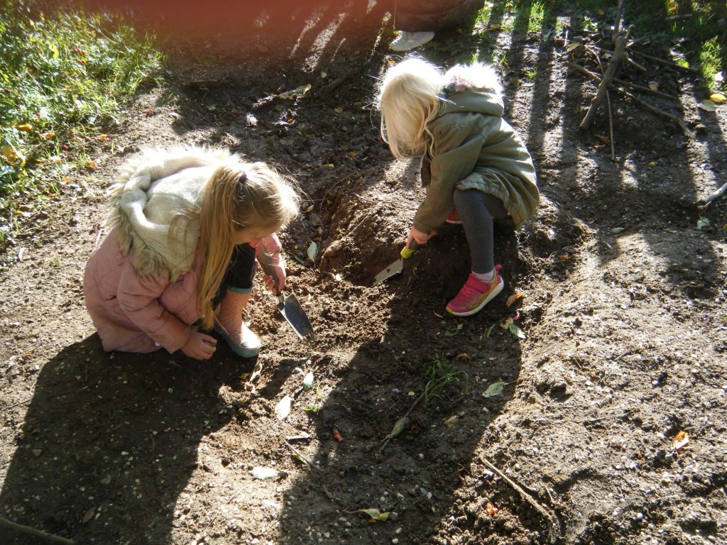 Year 1 pupils digging