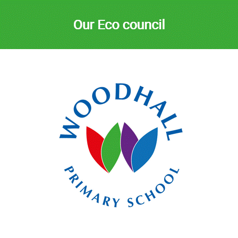 animated gif with images of the eco school councillors and quotes of what the school eco council means to them:
It’s a chance to make a difference;
We’re so proud to have won our Eco Award. We want to continue to do good;
Our generation is the future—if we don’t look after our planet and local environment who will?